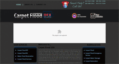 Desktop Screenshot of carpet-flood-usa.com